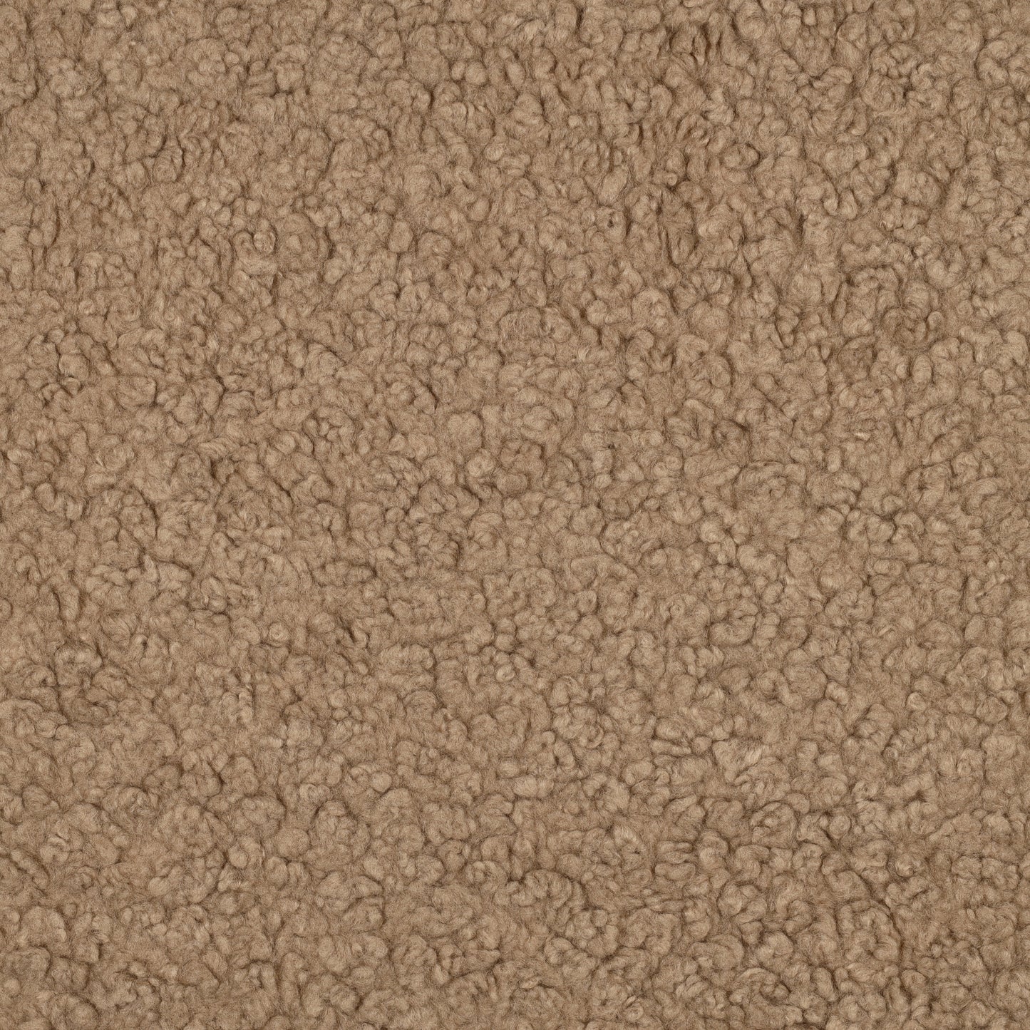 Teddy Bouclé (tijdelijk uitverkocht, verwacht in week 49 weer op voorraad)