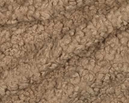 Teddy Bouclé