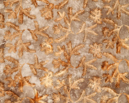 Tie Dye Palmy Embroidery