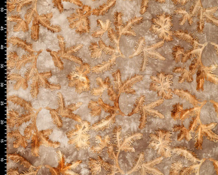 Tie Dye Palmy Embroidery
