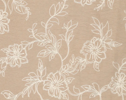 Allesandra Lily